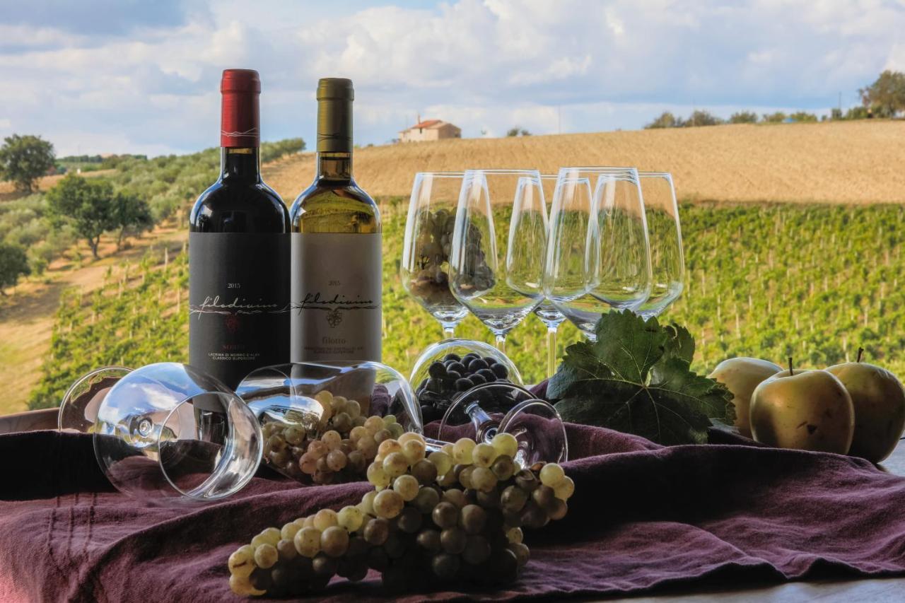 Filodivino Wine Resort & Spa San Marcello  Exteriér fotografie