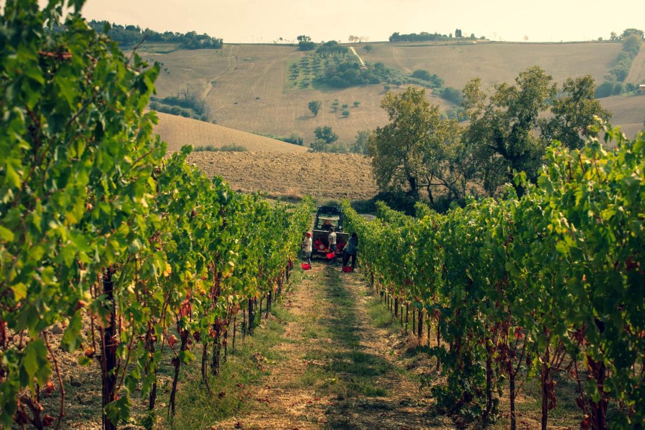 Filodivino Wine Resort & Spa San Marcello  Exteriér fotografie